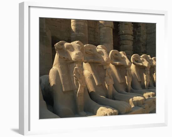 Ram-Headed Sphinxes of the Processional Avenue, at the Temple of Karnak, Thebes, Egypt-Richardson Rolf-Framed Photographic Print