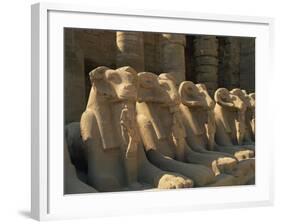 Ram-Headed Sphinxes of the Processional Avenue, at the Temple of Karnak, Thebes, Egypt-Richardson Rolf-Framed Photographic Print