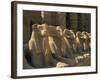 Ram-Headed Sphinxes of the Processional Avenue, at the Temple of Karnak, Thebes, Egypt-Richardson Rolf-Framed Photographic Print