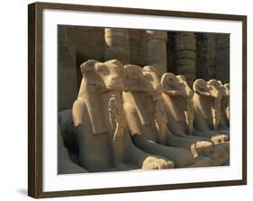 Ram-Headed Sphinxes of the Processional Avenue, at the Temple of Karnak, Thebes, Egypt-Richardson Rolf-Framed Photographic Print