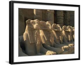 Ram-Headed Sphinxes of the Processional Avenue, at the Temple of Karnak, Thebes, Egypt-Richardson Rolf-Framed Photographic Print