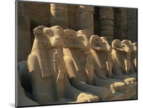 Ram-Headed Sphinxes of the Processional Avenue, at the Temple of Karnak, Thebes, Egypt-Richardson Rolf-Mounted Photographic Print