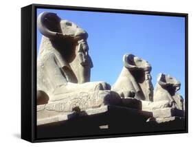 Ram-Headed Sphinxes, Temple of Amun, Karnak, Egypt-CM Dixon-Framed Stretched Canvas