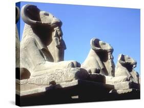 Ram-Headed Sphinxes, Temple of Amun, Karnak, Egypt-CM Dixon-Stretched Canvas