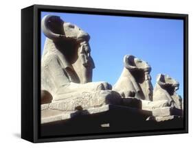 Ram-Headed Sphinxes, Temple of Amun, Karnak, Egypt-CM Dixon-Framed Stretched Canvas