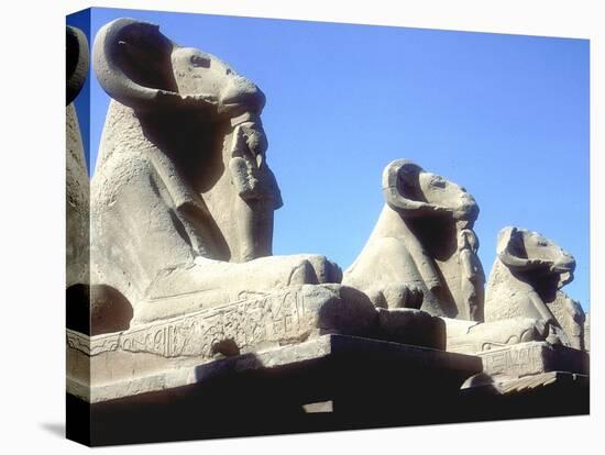 Ram-Headed Sphinxes, Temple of Amun, Karnak, Egypt-CM Dixon-Stretched Canvas