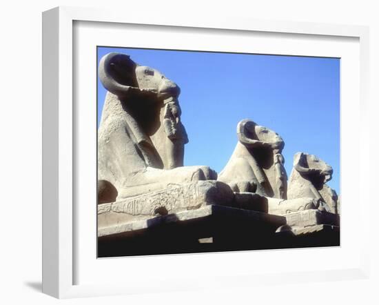 Ram-Headed Sphinxes, Temple of Amun, Karnak, Egypt-CM Dixon-Framed Photographic Print