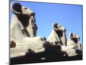 Ram-Headed Sphinxes, Temple of Amun, Karnak, Egypt-CM Dixon-Mounted Photographic Print