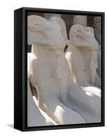 Ram Headed Sphinxes, Temple of Karnak, Near Luxor, Thebes, UNESCO World Heritage Site, Egypt-Groenendijk Peter-Framed Stretched Canvas