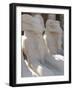 Ram Headed Sphinxes, Temple of Karnak, Near Luxor, Thebes, UNESCO World Heritage Site, Egypt-Groenendijk Peter-Framed Photographic Print