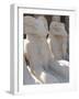 Ram Headed Sphinxes, Temple of Karnak, Near Luxor, Thebes, UNESCO World Heritage Site, Egypt-Groenendijk Peter-Framed Photographic Print