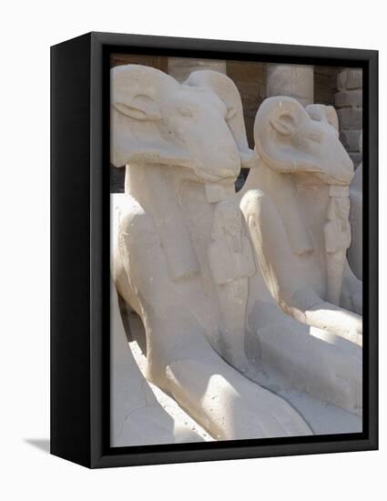 Ram Headed Sphinxes, Temple of Karnak, Near Luxor, Thebes, UNESCO World Heritage Site, Egypt-Groenendijk Peter-Framed Stretched Canvas