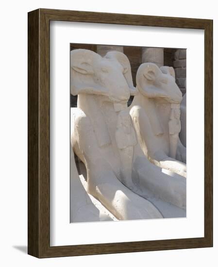 Ram Headed Sphinxes, Temple of Karnak, Near Luxor, Thebes, UNESCO World Heritage Site, Egypt-Groenendijk Peter-Framed Photographic Print