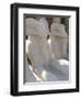 Ram Headed Sphinxes, Temple of Karnak, Near Luxor, Thebes, UNESCO World Heritage Site, Egypt-Groenendijk Peter-Framed Photographic Print