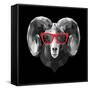 Ram in Red Glasses-Lisa Kroll-Framed Stretched Canvas