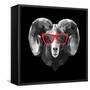 Ram in Red Glasses-Lisa Kroll-Framed Stretched Canvas