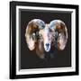 Ram-Lora Kroll-Framed Art Print