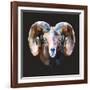 Ram-Lora Kroll-Framed Art Print