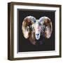 Ram-Lora Kroll-Framed Art Print