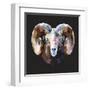 Ram-Lora Kroll-Framed Art Print