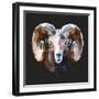 Ram-Lora Kroll-Framed Art Print