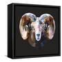 Ram-Lora Kroll-Framed Stretched Canvas