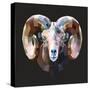 Ram-Lora Kroll-Stretched Canvas