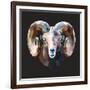 Ram-Lora Kroll-Framed Art Print