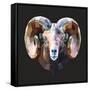 Ram-Lora Kroll-Framed Stretched Canvas