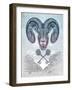 Ram-Rachel Caldwell-Framed Art Print