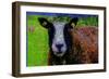 Ram-Andre Burian-Framed Giclee Print