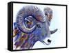 Ram-Michelle Faber-Framed Stretched Canvas