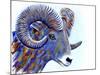 Ram-Michelle Faber-Mounted Giclee Print