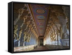 Ramanatha Swami, Rameswaram, Tamil Nadu, India, Asia-Tuul-Framed Stretched Canvas