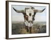 Ramblin' On II-Kathy Winkler-Framed Art Print