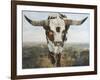 Ramblin' On II-Kathy Winkler-Framed Art Print