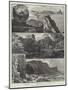 Rambling Sketches, Gower, South Wales-William Henry James Boot-Mounted Giclee Print