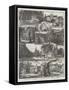 Rambling Sketches, Hampstead-William Henry James Boot-Framed Stretched Canvas