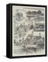 Rambling Sketches, Ockley, Surrey-Joseph Holland Tringham-Framed Stretched Canvas