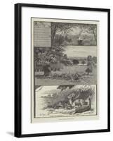 Rambling Sketches, Richmond Park-null-Framed Giclee Print