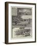 Rambling Sketches, Richmond Park-null-Framed Giclee Print
