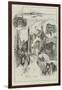 Rambling Sketches, Rye and Winchelsea-Herbert Railton-Framed Giclee Print