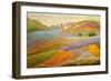 Rambling through the Blooming Valley-Angeles M Pomata-Framed Giclee Print