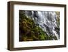 Ramona Falls in Oregon, USA-Galyna Andrushko-Framed Photographic Print