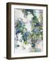 Rampant Rainbow II-Joshua Schicker-Framed Giclee Print