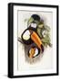 Black Frame