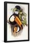 Essential Black