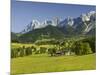 Ramsau, Dachstein, Summer Meadow, Styria, Austria-Rainer Mirau-Mounted Photographic Print