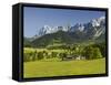 Ramsau, Dachstein, Summer Meadow, Styria, Austria-Rainer Mirau-Framed Stretched Canvas