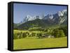 Ramsau, Dachstein, Summer Meadow, Styria, Austria-Rainer Mirau-Framed Stretched Canvas